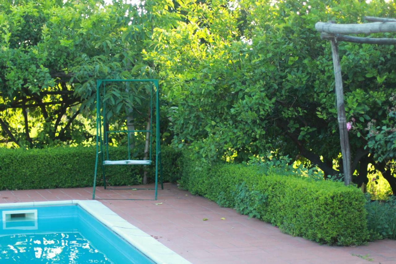 Desiderio D'Ammore Villa Corbara  Exterior photo