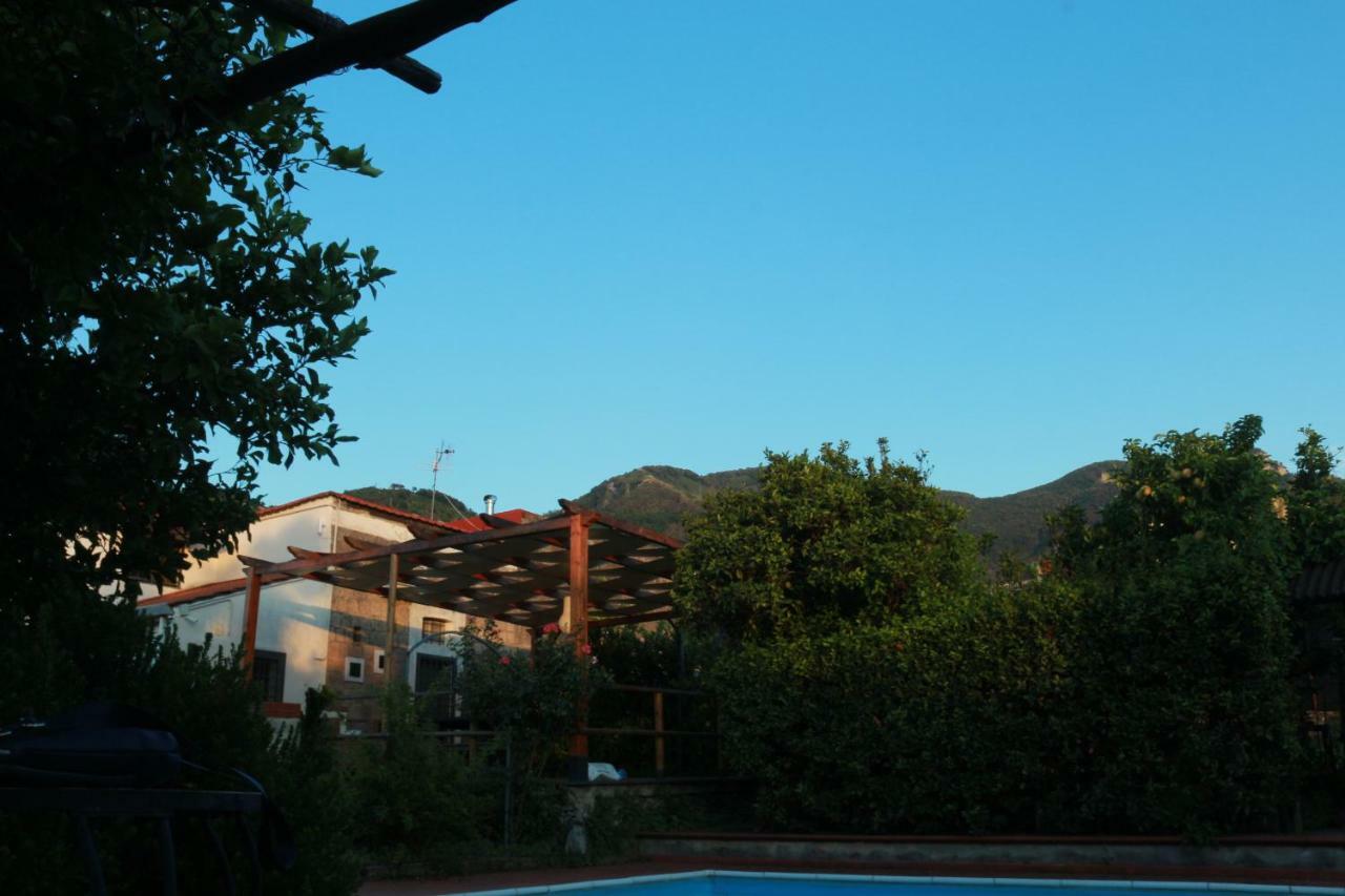 Desiderio D'Ammore Villa Corbara  Exterior photo